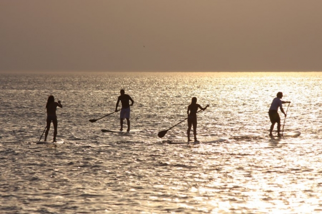 Paseos y sesiones de paddle surf en el 40 